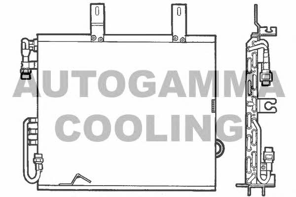 Autogamma 101573 Cooler Module 101573: Buy near me in Poland at 2407.PL - Good price!