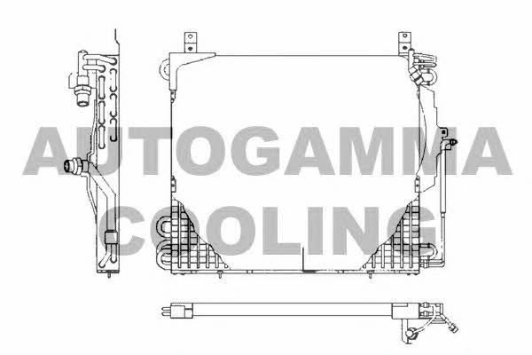 Autogamma 101698 Cooler Module 101698: Buy near me in Poland at 2407.PL - Good price!