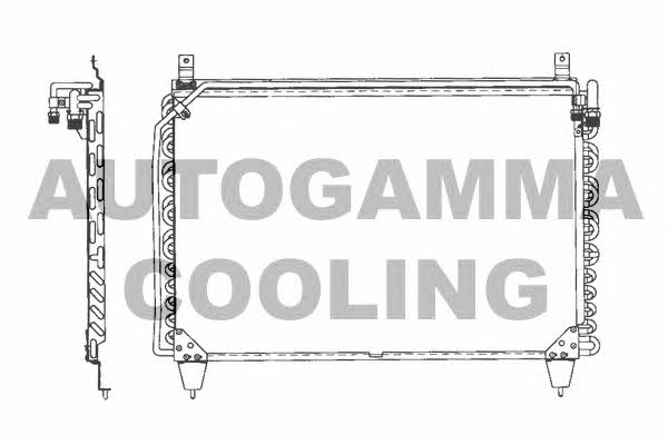 Autogamma 101701 Cooler Module 101701: Buy near me in Poland at 2407.PL - Good price!