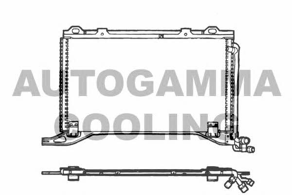 Autogamma 101731 Cooler Module 101731: Buy near me in Poland at 2407.PL - Good price!
