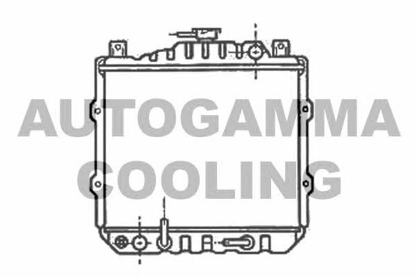 Autogamma 100978 Radiator, engine cooling 100978: Buy near me in Poland at 2407.PL - Good price!