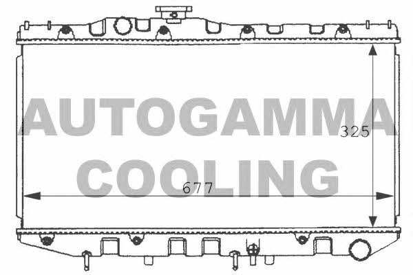 Autogamma 100990 Kühler motorkühlung 100990: Kaufen Sie zu einem guten Preis in Polen bei 2407.PL!