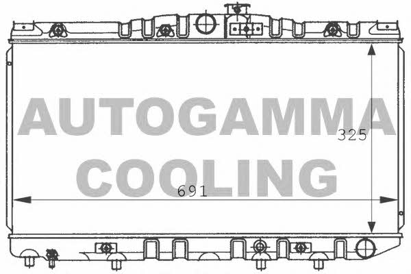 Autogamma 100993 Kühler motorkühlung 100993: Kaufen Sie zu einem guten Preis in Polen bei 2407.PL!