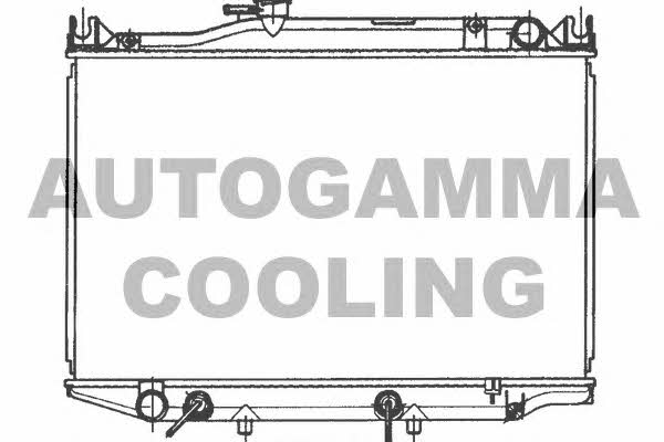 Autogamma 100995 Kühler motorkühlung 100995: Kaufen Sie zu einem guten Preis in Polen bei 2407.PL!
