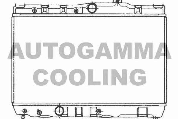 Autogamma 101002 Радиатор охлаждения двигателя 101002: Отличная цена - Купить в Польше на 2407.PL!