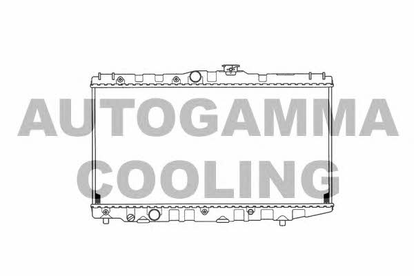 Autogamma 101014 Радиатор охлаждения двигателя 101014: Отличная цена - Купить в Польше на 2407.PL!