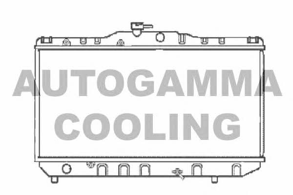 Autogamma 101016 Радиатор охлаждения двигателя 101016: Отличная цена - Купить в Польше на 2407.PL!