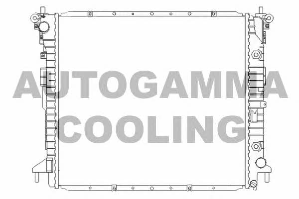 Autogamma 104426 Радиатор охлаждения двигателя 104426: Отличная цена - Купить в Польше на 2407.PL!