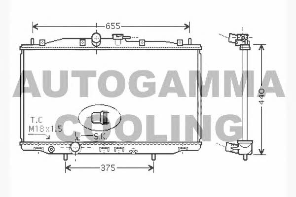 Autogamma 104516 Chłodnica, układ chłodzenia silnika 104516: Atrakcyjna cena w Polsce na 2407.PL - Zamów teraz!