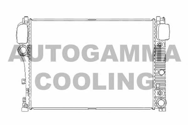 Autogamma 104538 Kühler motorkühlung 104538: Kaufen Sie zu einem guten Preis in Polen bei 2407.PL!