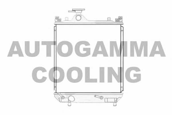 Autogamma 104550 Радіатор охолодження двигуна 104550: Приваблива ціна - Купити у Польщі на 2407.PL!