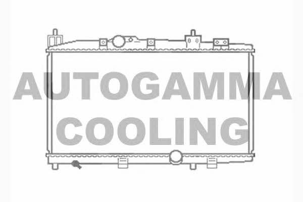 Autogamma 104566 Радиатор охлаждения двигателя 104566: Отличная цена - Купить в Польше на 2407.PL!