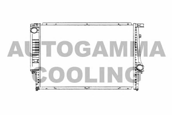 Autogamma 101982 Radiator, engine cooling 101982: Buy near me at 2407.PL in Poland at an Affordable price!