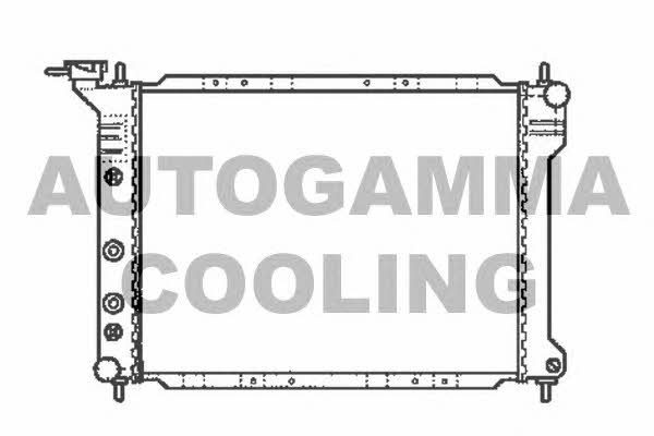 Autogamma 101984 Radiator, engine cooling 101984: Buy near me in Poland at 2407.PL - Good price!