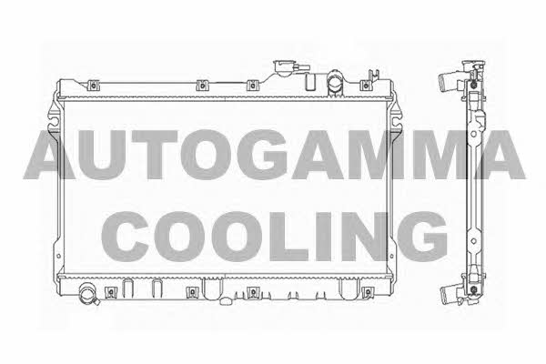 Autogamma 101998 Kühler motorkühlung 101998: Kaufen Sie zu einem guten Preis in Polen bei 2407.PL!