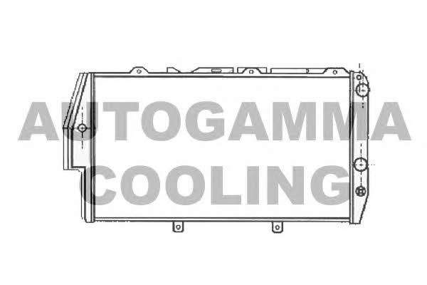 Autogamma 102026 Радиатор охлаждения двигателя 102026: Купить в Польше - Отличная цена на 2407.PL!