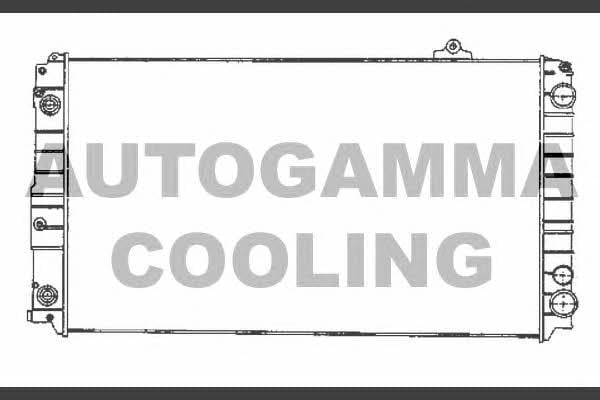 Autogamma 102027 Радіатор охолодження двигуна 102027: Приваблива ціна - Купити у Польщі на 2407.PL!