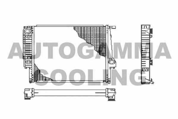 Autogamma 102036 Radiator, engine cooling 102036: Buy near me in Poland at 2407.PL - Good price!