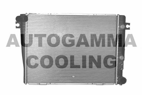 Autogamma 102039 Radiator, engine cooling 102039: Buy near me in Poland at 2407.PL - Good price!