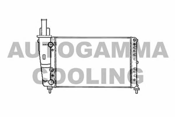 Autogamma 102066 Радіатор охолодження двигуна 102066: Приваблива ціна - Купити у Польщі на 2407.PL!