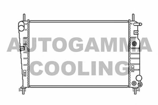 Autogamma 102070 Radiator, engine cooling 102070: Buy near me in Poland at 2407.PL - Good price!
