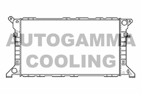 Autogamma 102086 Chłodnica, układ chłodzenia silnika 102086: Dobra cena w Polsce na 2407.PL - Kup Teraz!