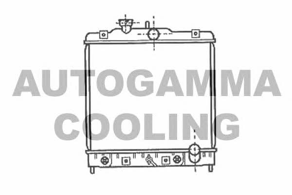 Autogamma 102107 Радиатор охлаждения двигателя 102107: Купить в Польше - Отличная цена на 2407.PL!