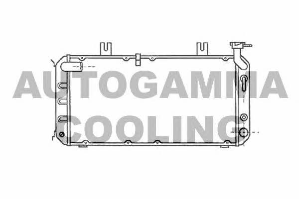 Autogamma 102116 Radiator, engine cooling 102116: Buy near me in Poland at 2407.PL - Good price!