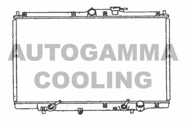 Autogamma 102121 Radiator, engine cooling 102121: Buy near me in Poland at 2407.PL - Good price!