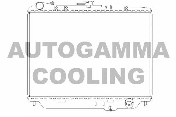 Autogamma 102127 Радіатор охолодження двигуна 102127: Приваблива ціна - Купити у Польщі на 2407.PL!