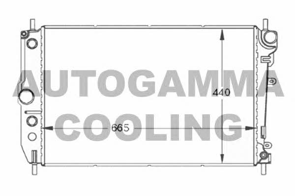 Autogamma 102130 Kühler motorkühlung 102130: Kaufen Sie zu einem guten Preis in Polen bei 2407.PL!
