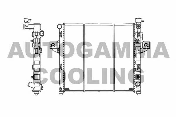 Autogamma 102134 Радіатор охолодження двигуна 102134: Приваблива ціна - Купити у Польщі на 2407.PL!