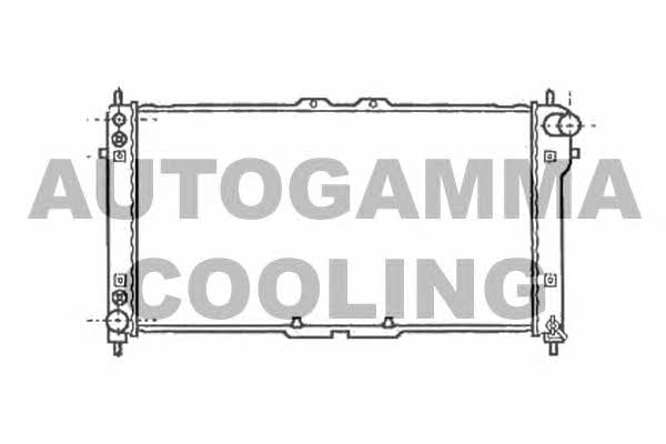 Autogamma 102141 Radiator, engine cooling 102141: Buy near me in Poland at 2407.PL - Good price!