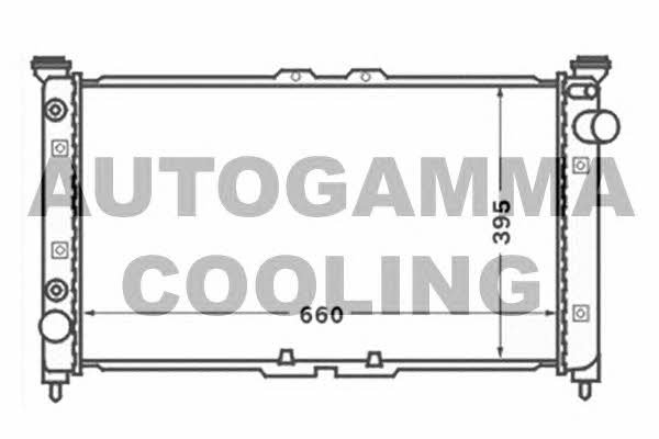 Autogamma 102145 Radiator, engine cooling 102145: Buy near me in Poland at 2407.PL - Good price!