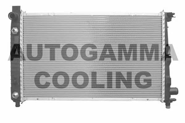 Autogamma 102146 Радіатор охолодження двигуна 102146: Приваблива ціна - Купити у Польщі на 2407.PL!