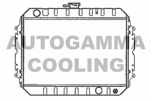 Autogamma 104697 Радиатор охлаждения двигателя 104697: Отличная цена - Купить в Польше на 2407.PL!