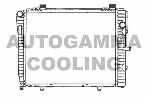 Autogamma 102166 Радиатор охлаждения двигателя 102166: Отличная цена - Купить в Польше на 2407.PL!