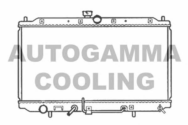 Autogamma 102170 Radiator, engine cooling 102170: Buy near me in Poland at 2407.PL - Good price!