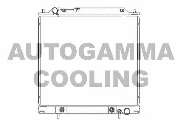 Autogamma 102179 Radiator, engine cooling 102179: Buy near me in Poland at 2407.PL - Good price!