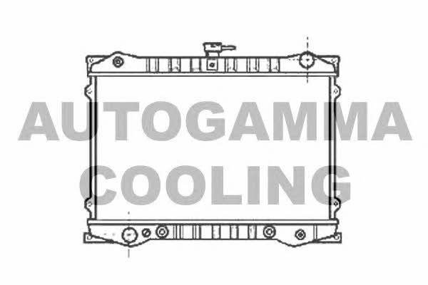 Autogamma 102184 Радиатор охлаждения двигателя 102184: Отличная цена - Купить в Польше на 2407.PL!