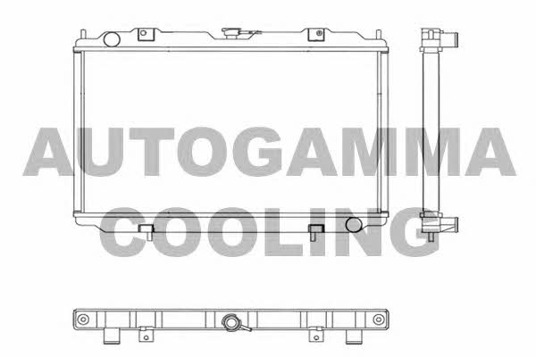 Autogamma 102187 Radiator, engine cooling 102187: Buy near me in Poland at 2407.PL - Good price!