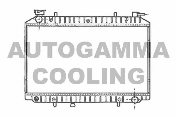 Autogamma 102200 Radiator, engine cooling 102200: Buy near me in Poland at 2407.PL - Good price!