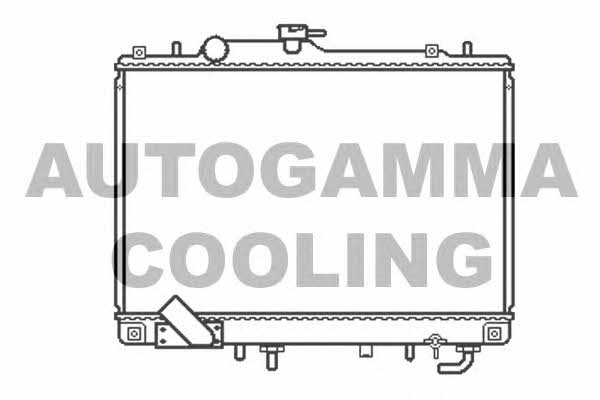 Autogamma 102210 Радиатор охлаждения двигателя 102210: Отличная цена - Купить в Польше на 2407.PL!