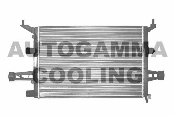 Autogamma 102218 Радиатор охлаждения двигателя 102218: Отличная цена - Купить в Польше на 2407.PL!