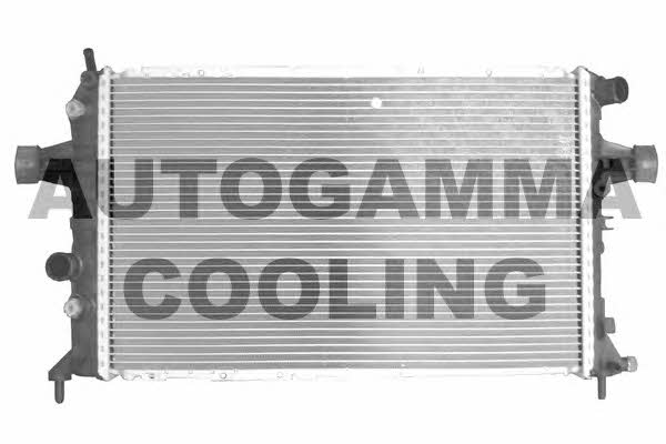 Autogamma 102229 Радіатор охолодження двигуна 102229: Купити у Польщі - Добра ціна на 2407.PL!