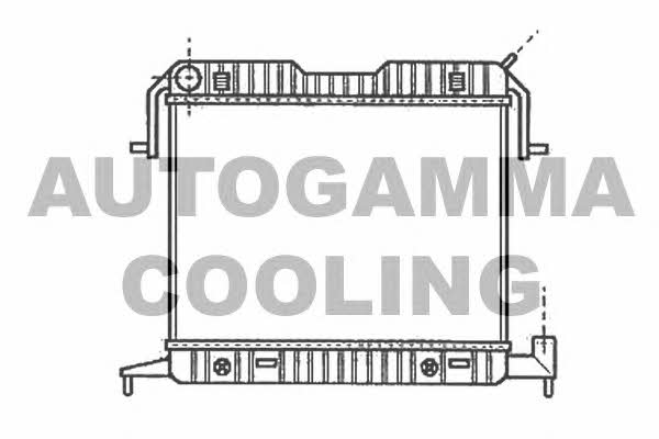 Autogamma 102236 Radiator, engine cooling 102236: Buy near me in Poland at 2407.PL - Good price!