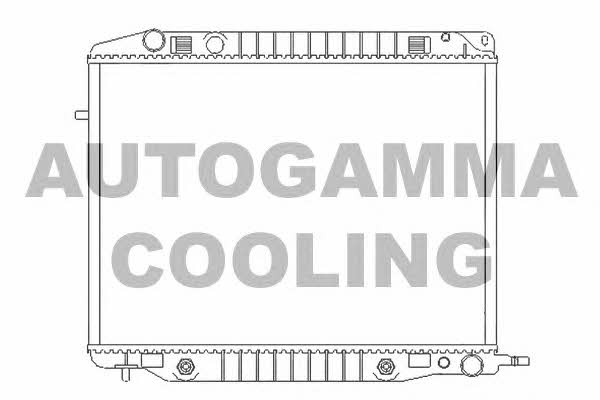 Autogamma 102246 Радіатор охолодження двигуна 102246: Приваблива ціна - Купити у Польщі на 2407.PL!