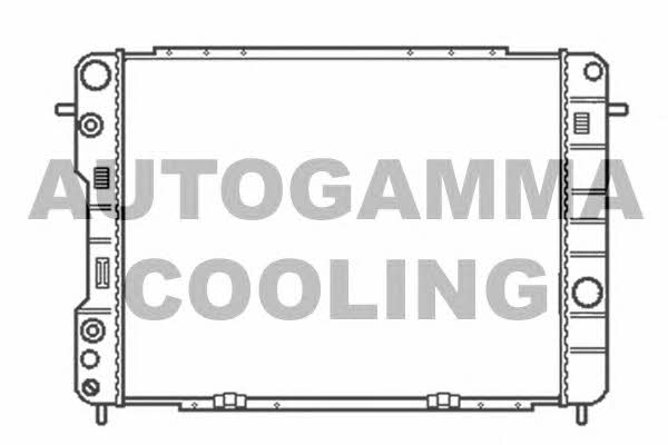 Autogamma 102258 Chłodnica, układ chłodzenia silnika 102258: Dobra cena w Polsce na 2407.PL - Kup Teraz!