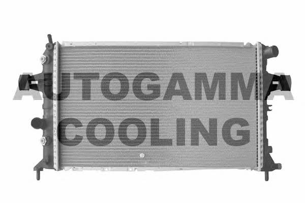 Autogamma 102261 Радиатор охлаждения двигателя 102261: Отличная цена - Купить в Польше на 2407.PL!