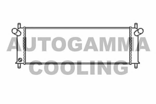 Autogamma 102277 Радіатор охолодження двигуна 102277: Приваблива ціна - Купити у Польщі на 2407.PL!